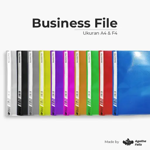 Business File 180 mic